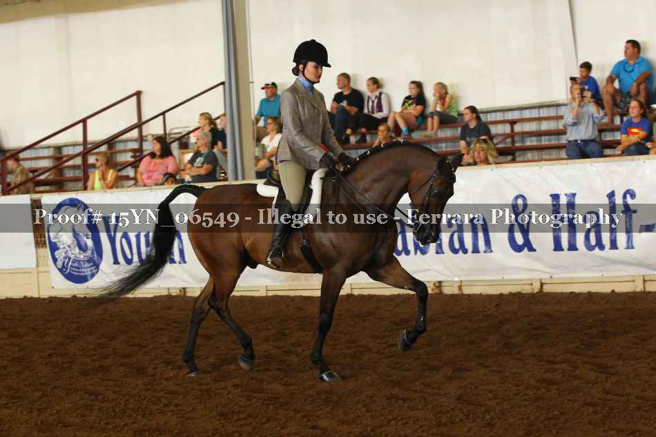 Proof 15YN_06549