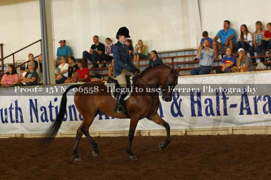 Proof 15YN_06558