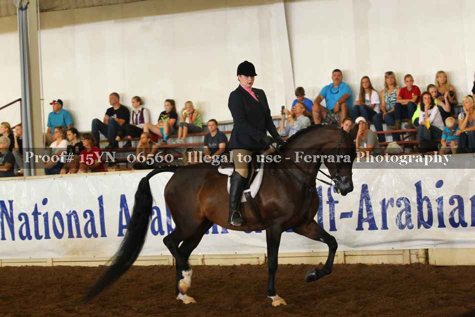 Proof 15YN_06560