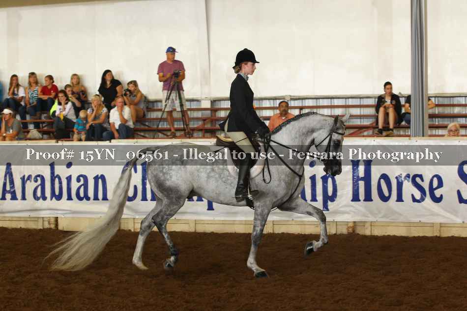 Proof 15YN_06561