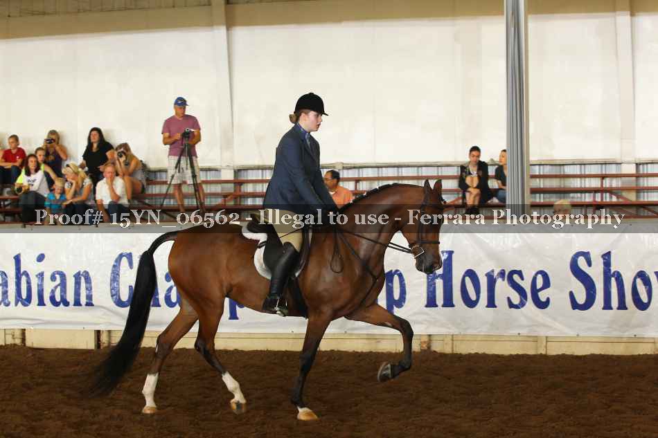 Proof 15YN_06562