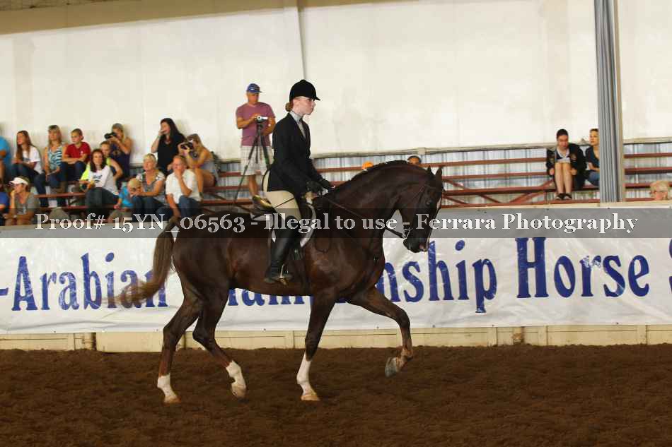 Proof 15YN_06563
