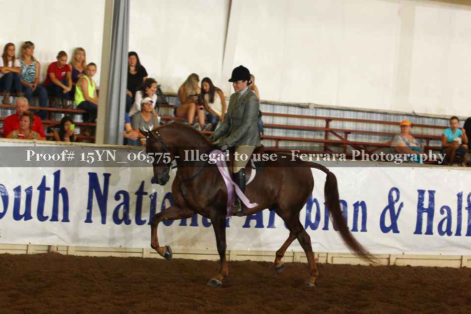 Proof 15YN_06575