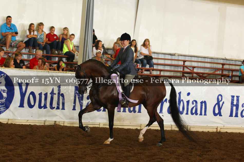 Proof 15YN_06577