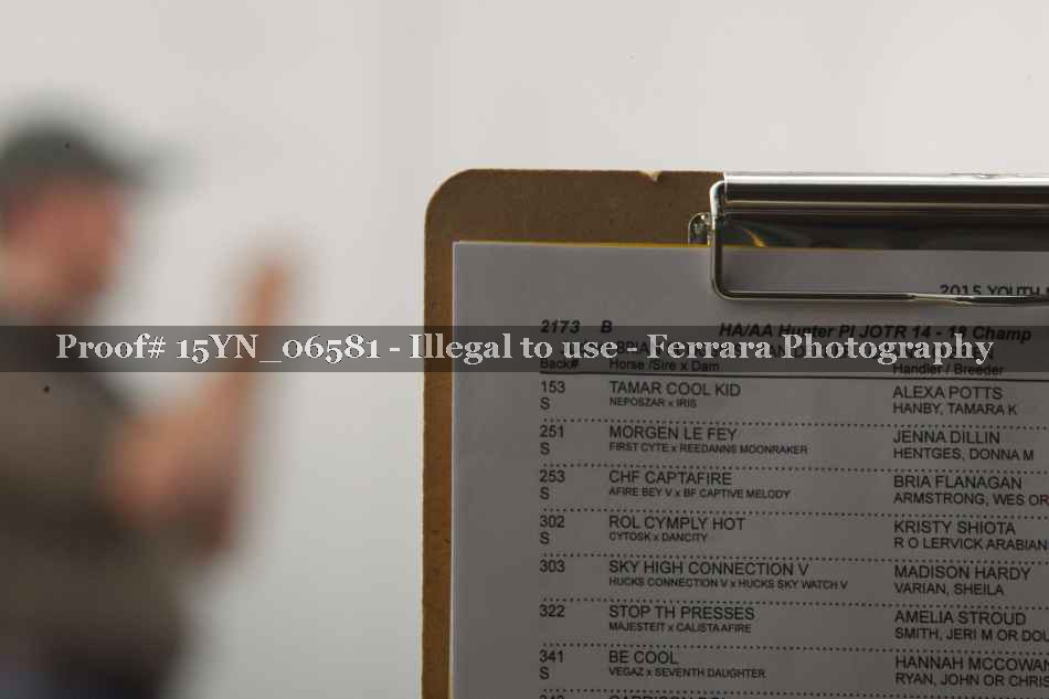 Proof 15YN_06581