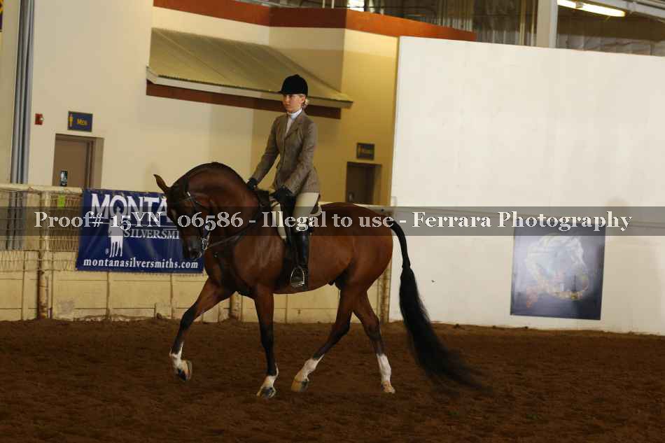 Proof 15YN_06586
