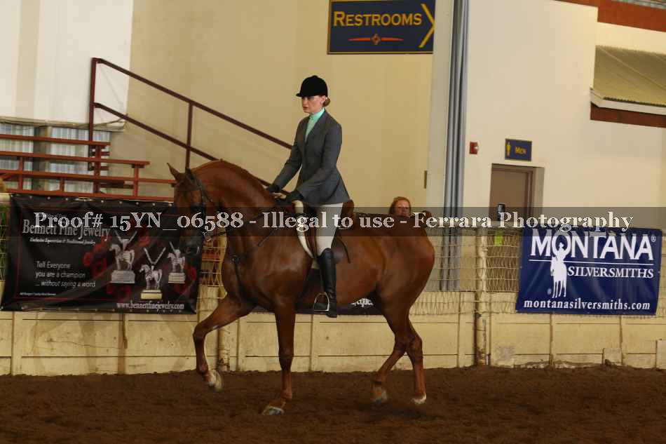 Proof 15YN_06588