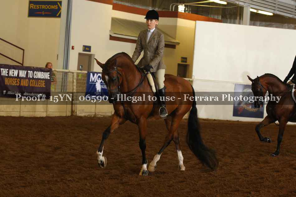 Proof 15YN_06590