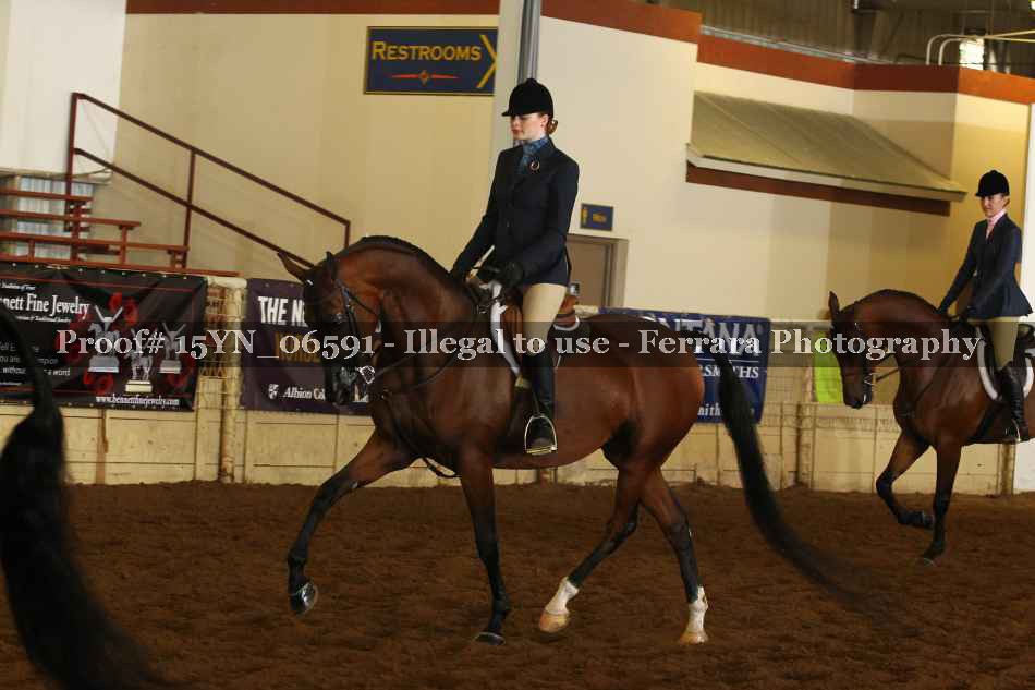 Proof 15YN_06591