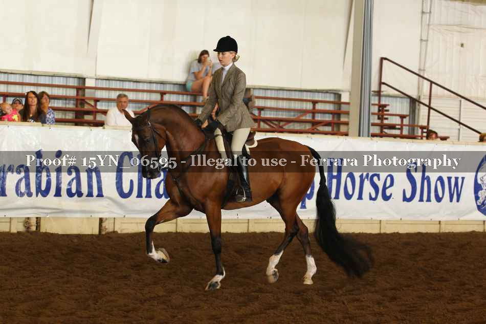 Proof 15YN_06595