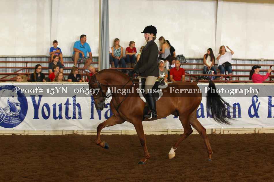 Proof 15YN_06597
