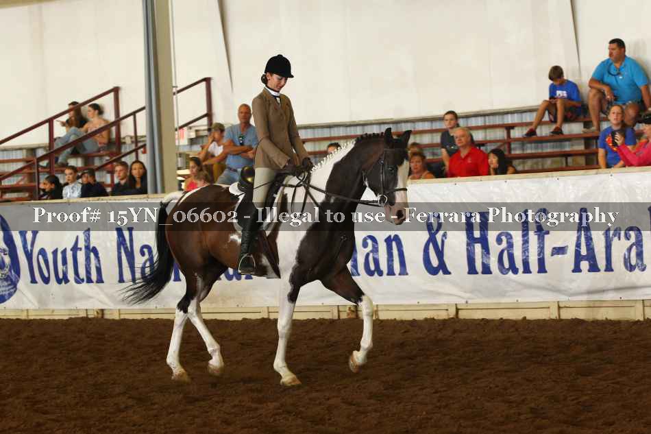 Proof 15YN_06602