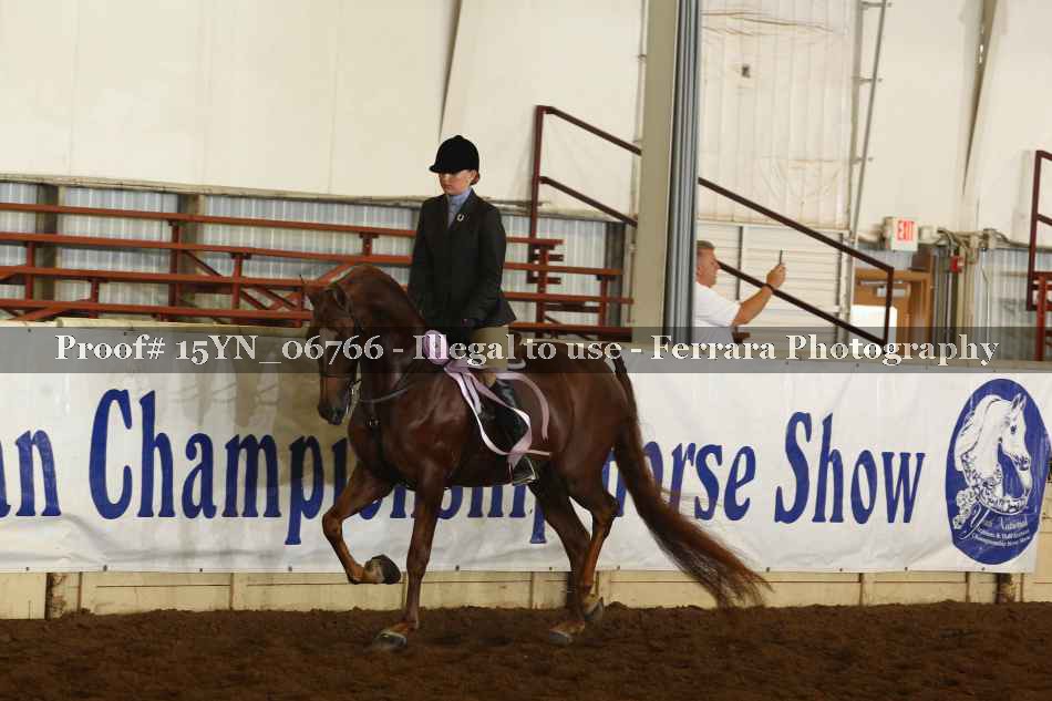 Proof 15YN_06766