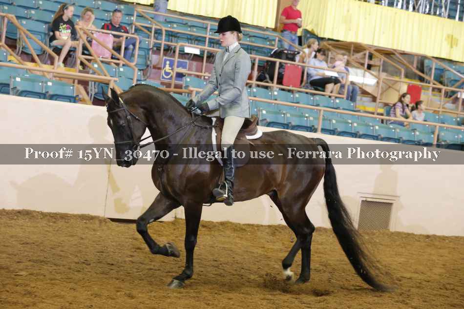 Proof 15YN_30470