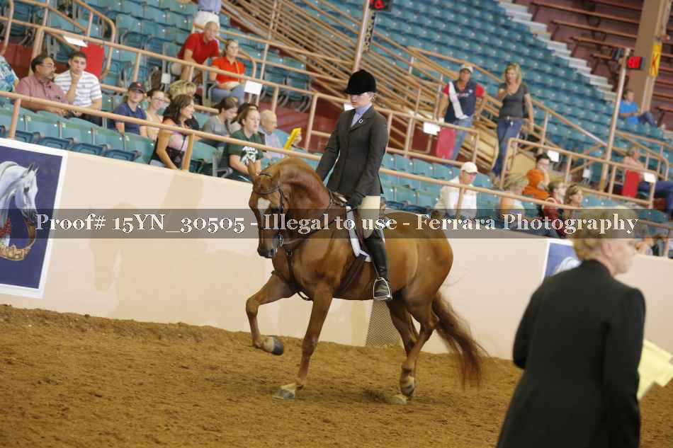 Proof 15YN_30505