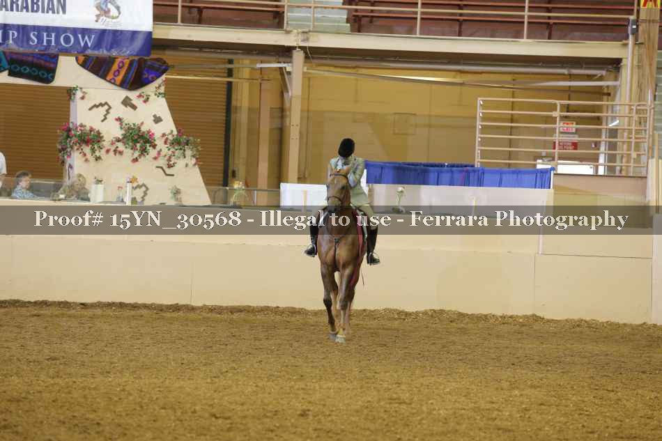 Proof 15YN_30568