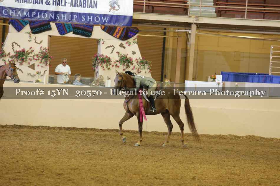 Proof 15YN_30570