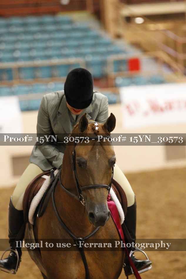 Proof 15YN_30573