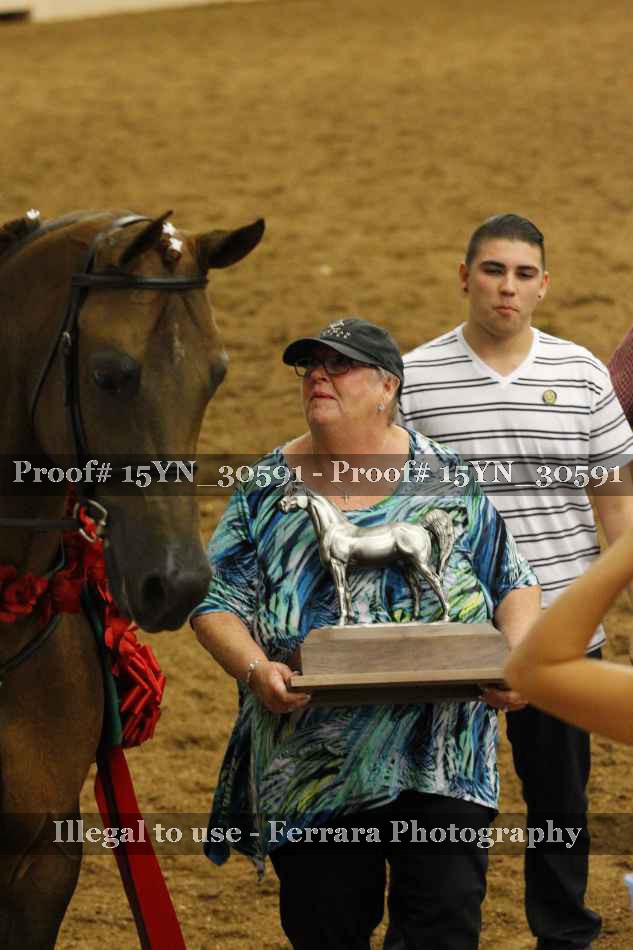 Proof 15YN_30591