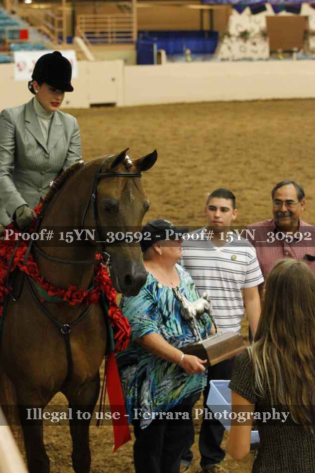 Proof 15YN_30592