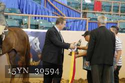 15YN_30594 proof