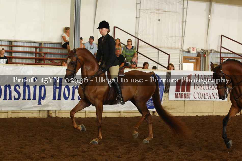 Proof 15YN_02336