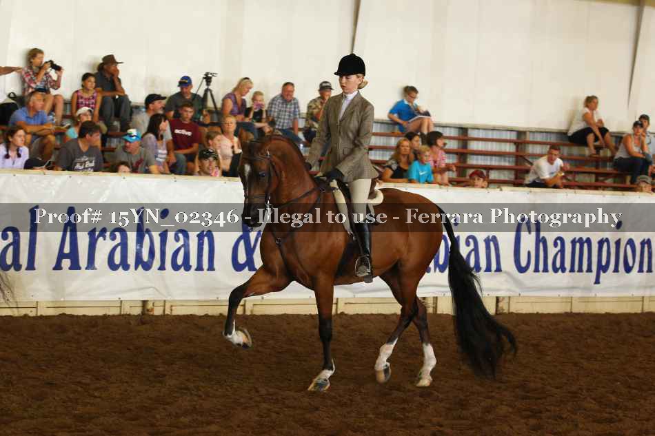 Proof 15YN_02346