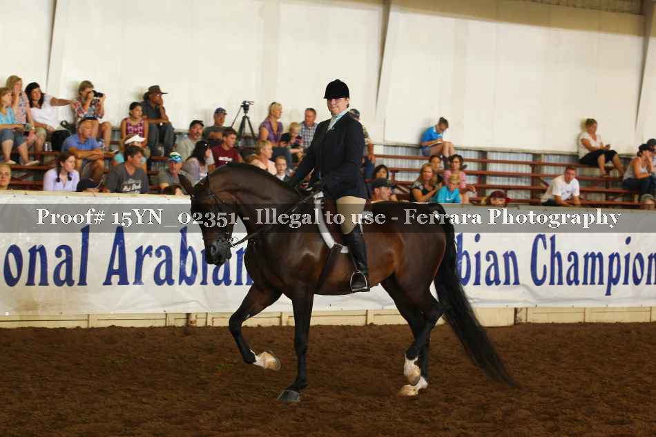 Proof 15YN_02351