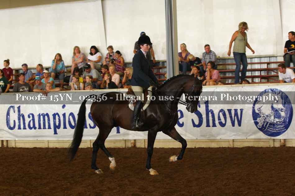 Proof 15YN_02356