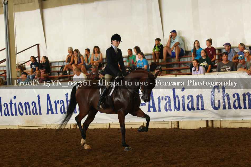 Proof 15YN_02361