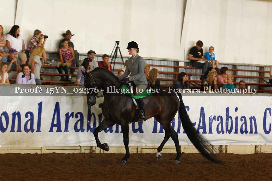 Proof 15YN_02376