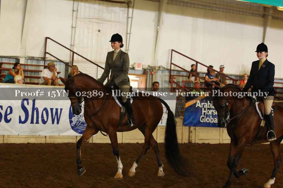 Proof 15YN_02389