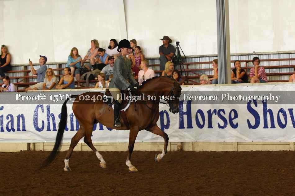 Proof 15YN_02403