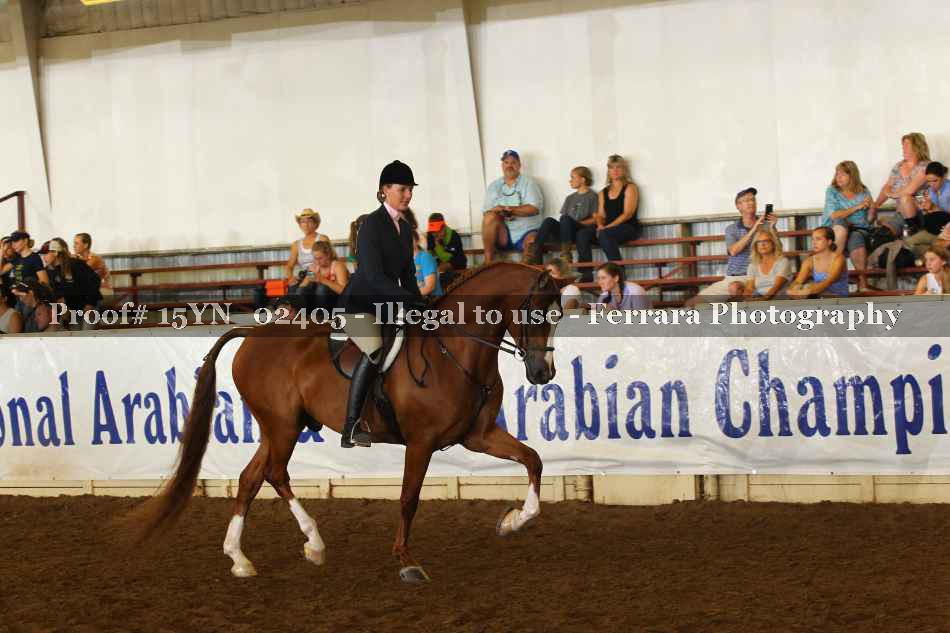 Proof 15YN_02405