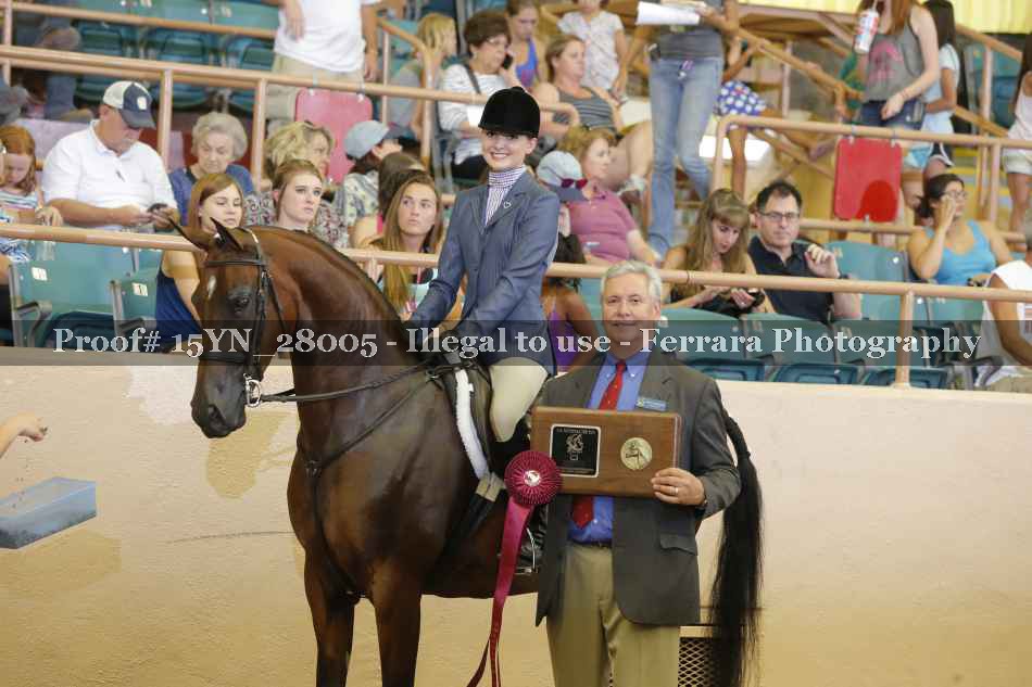 Proof 15YN_28005