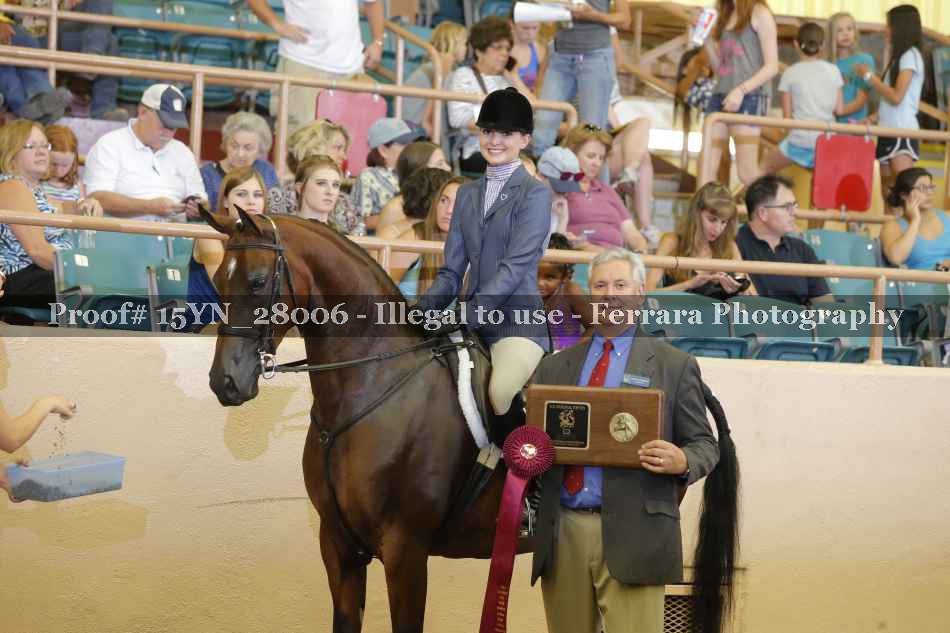 Proof 15YN_28006