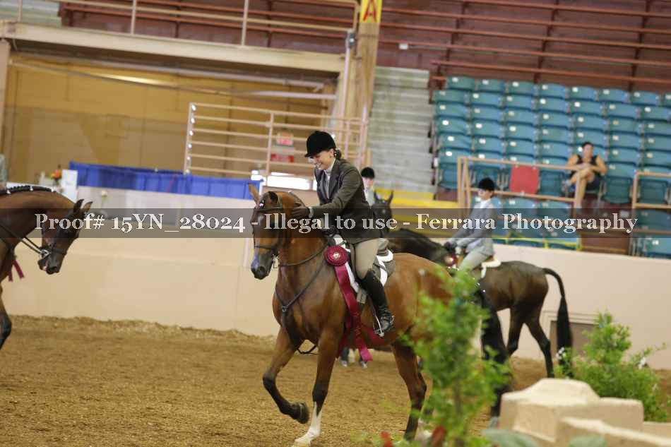 Proof 15YN_28024