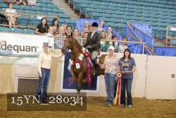 15YN_28034 proof