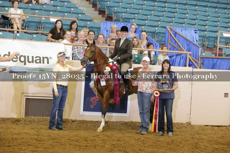 Proof 15YN_28035