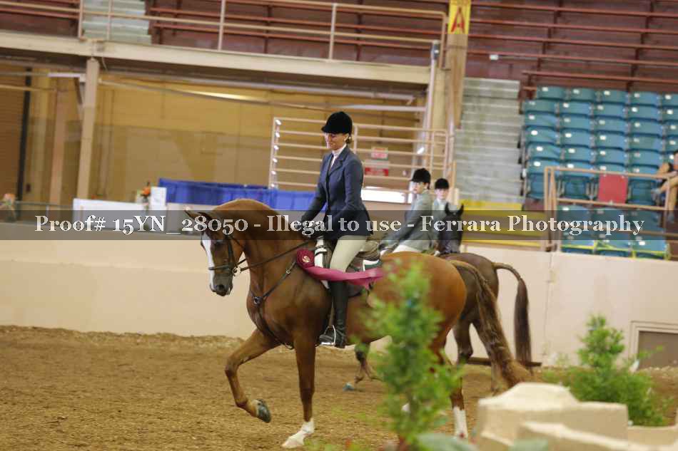 Proof 15YN_28050