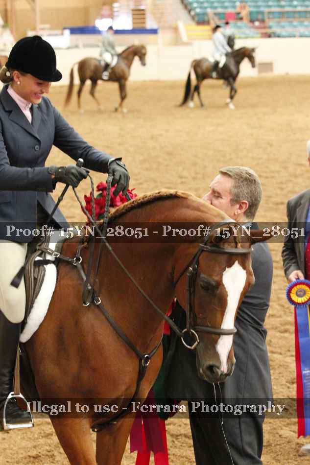 Proof 15YN_28051