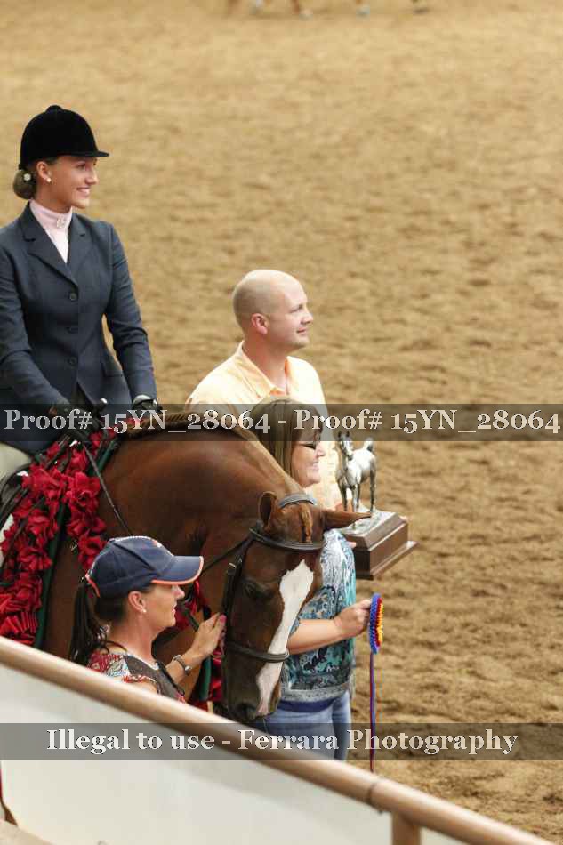 Proof 15YN_28064