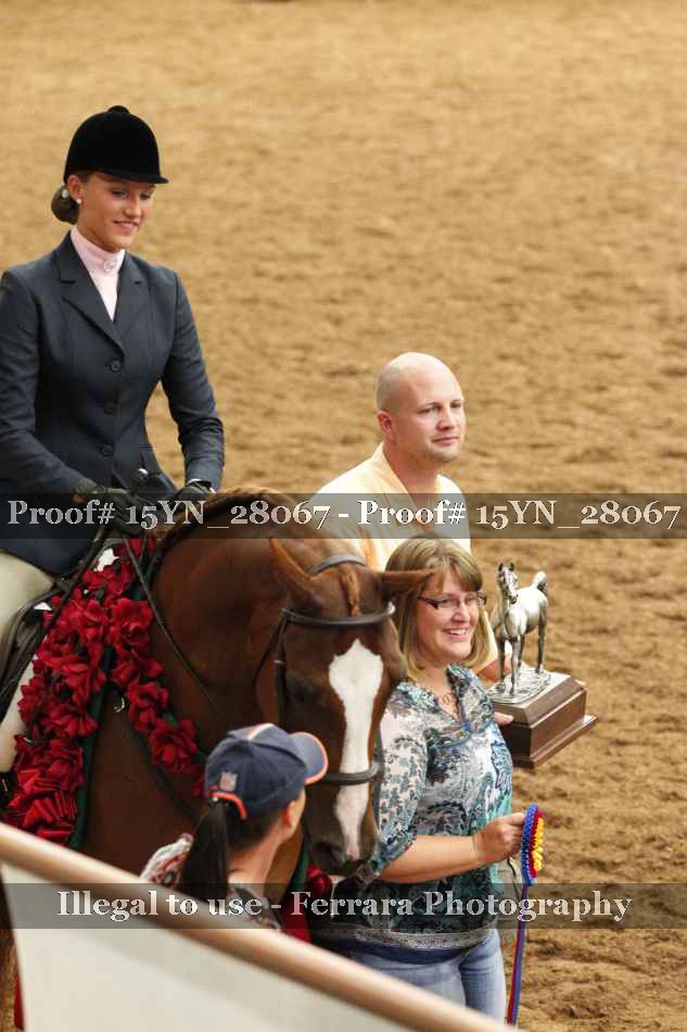 Proof 15YN_28067