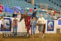 15YN_28071 proof