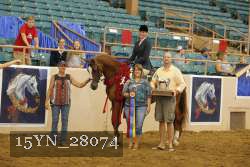 15YN_28074 proof