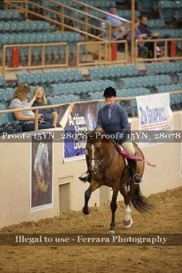 Proof 15YN_28078