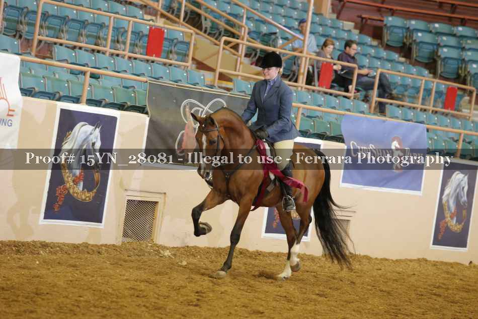 Proof 15YN_28081