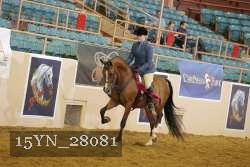 15YN_28081 proof