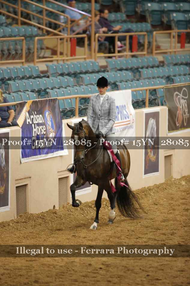 Proof 15YN_28085