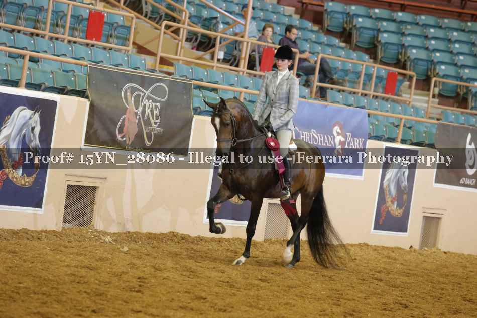 Proof 15YN_28086